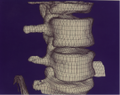 Thumbnail for version as of 13:50, 27 January 2013