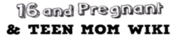 Logo of 16 and Pregnant & Teen Mom Wiki